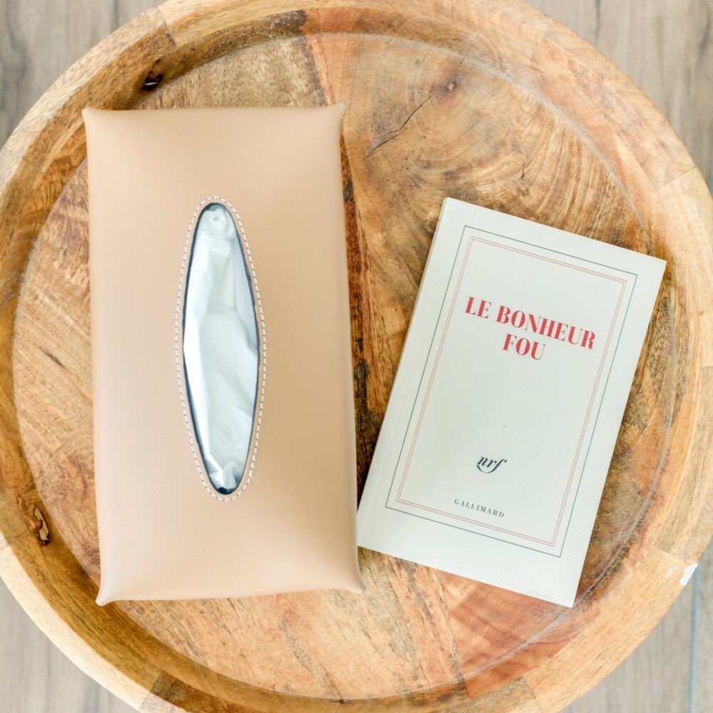 Boîte pour mouchoir chic et pratique, un coffret élégant pour hôtels et maisons modernes